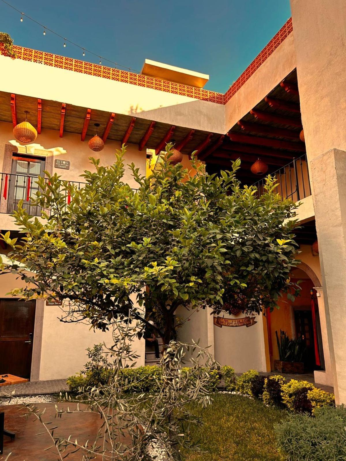 Bito'S Hotel Boutique San Miguel de Allende Exteriér fotografie